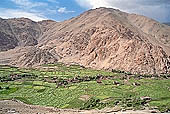  The valley leading to Changla - Ladakh